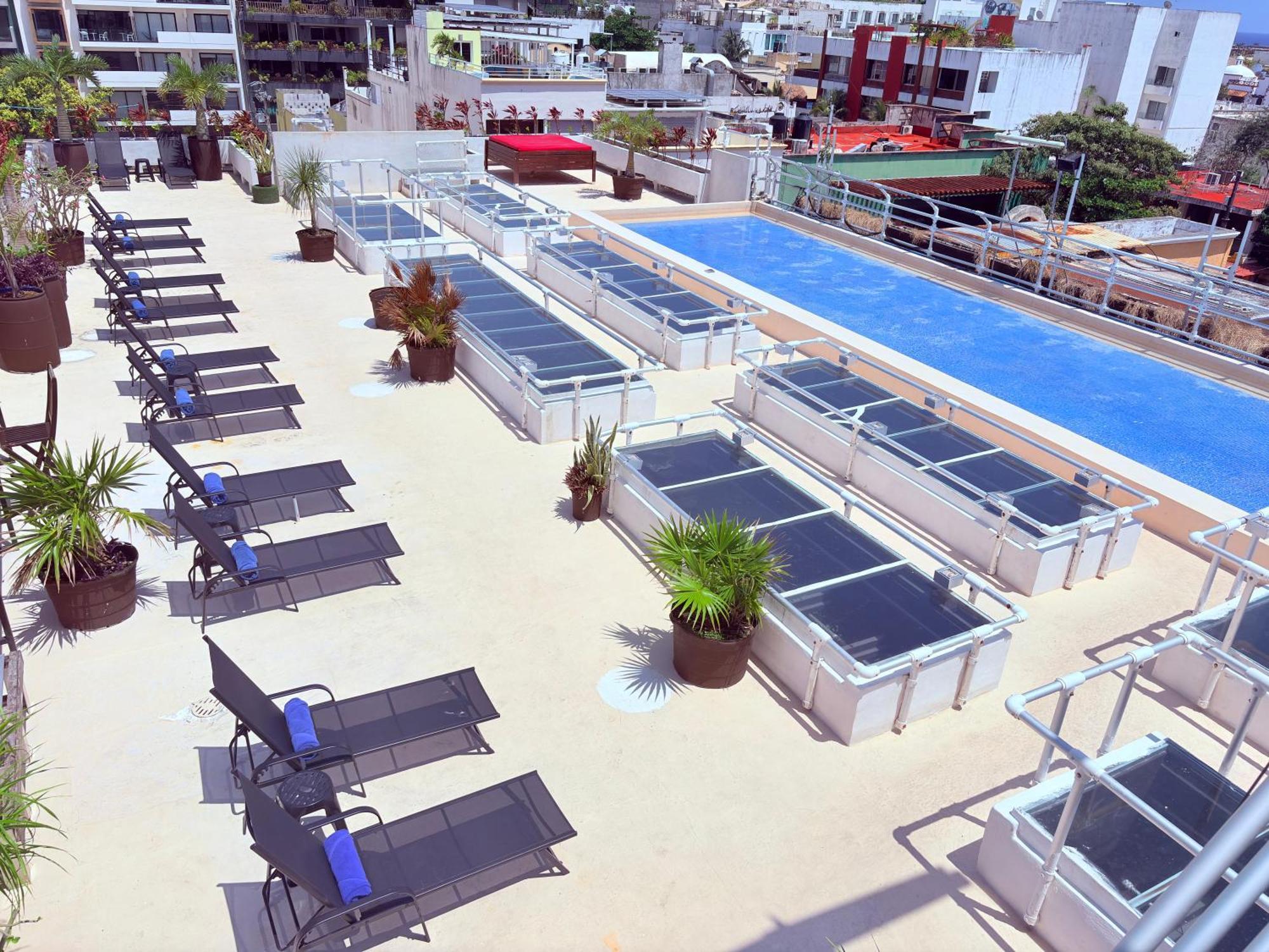 Hotel Kavia 5Th Avenida (Adults Only) Playa del Carmen Exterior photo