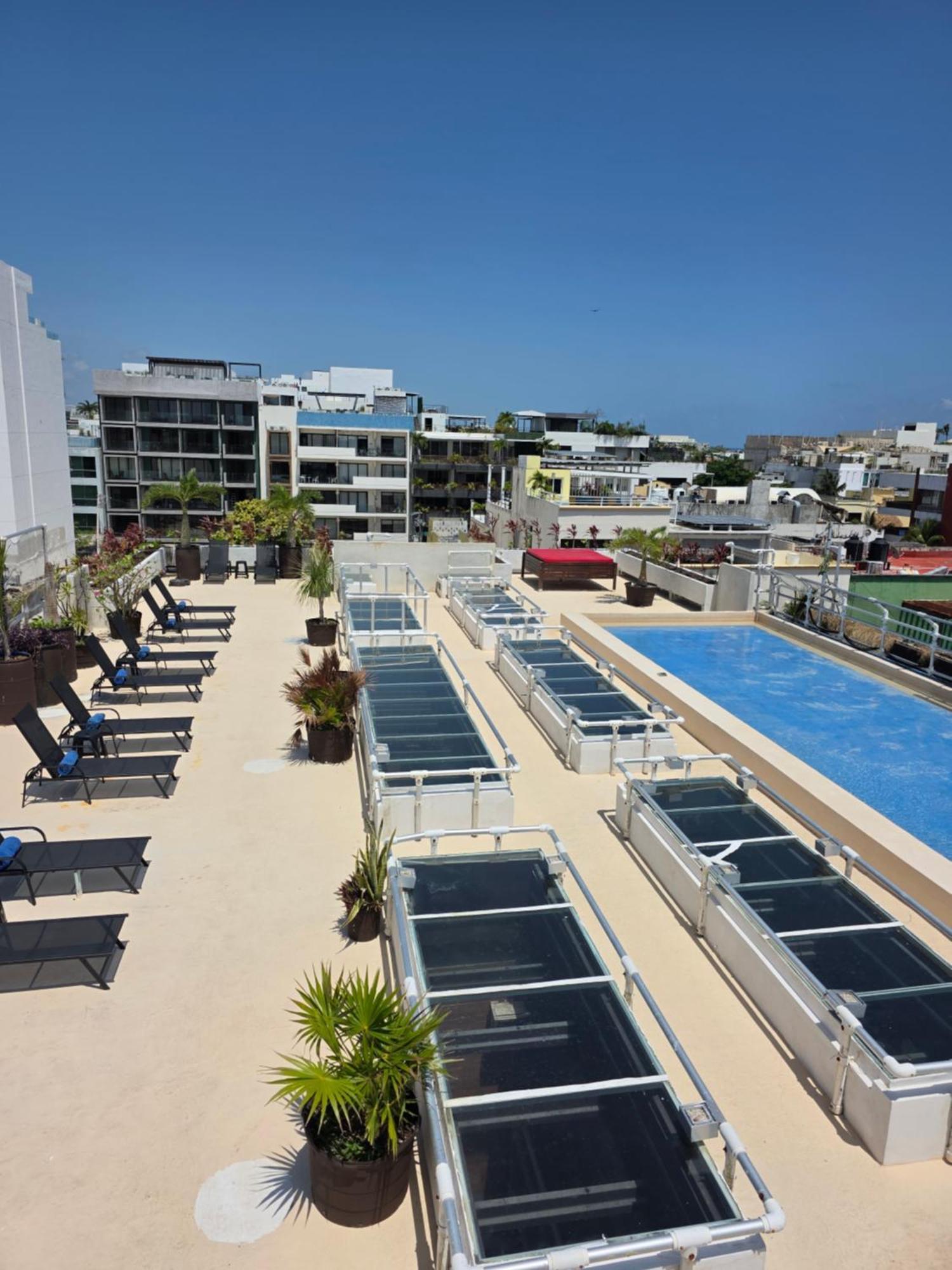 Hotel Kavia 5Th Avenida (Adults Only) Playa del Carmen Exterior photo